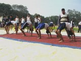 IMG 0146
