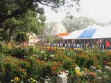 IMG 0267