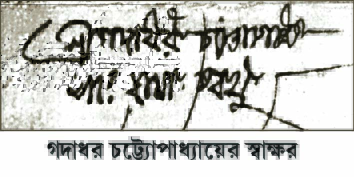 010.jpg