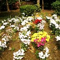IMG_0078.JPG